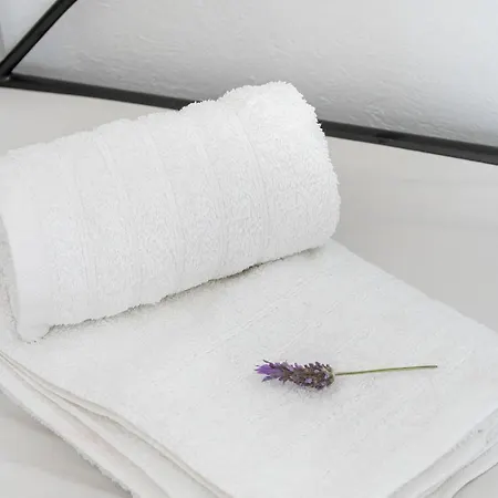 Sofia Apartments By The Sea Aparthotel Ornos (Mykonos)